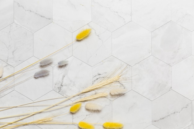 Acasă 28 Plăcile ceramice în stil minimalist: eleganță și simplitate
